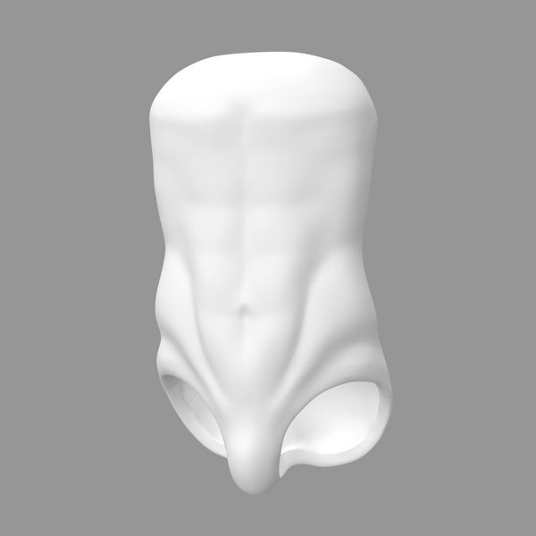 Guy Torso