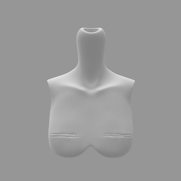 Double Mastectomy Bust