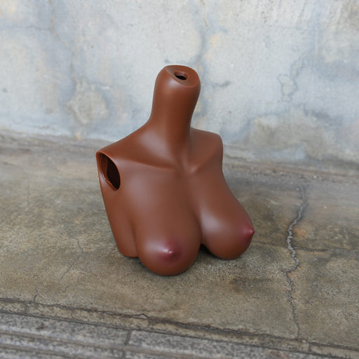 Small Painted Bust (Cocoa)