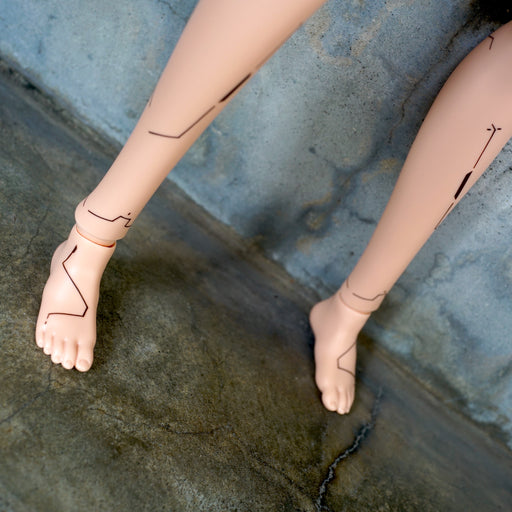 Smart Doll - Cyber Shell Onward (Cinnamon)