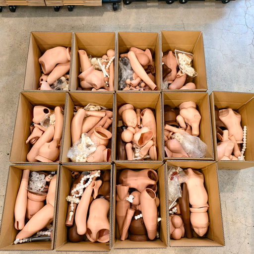 Smart Doll Plus R&D Parts (Chaos)