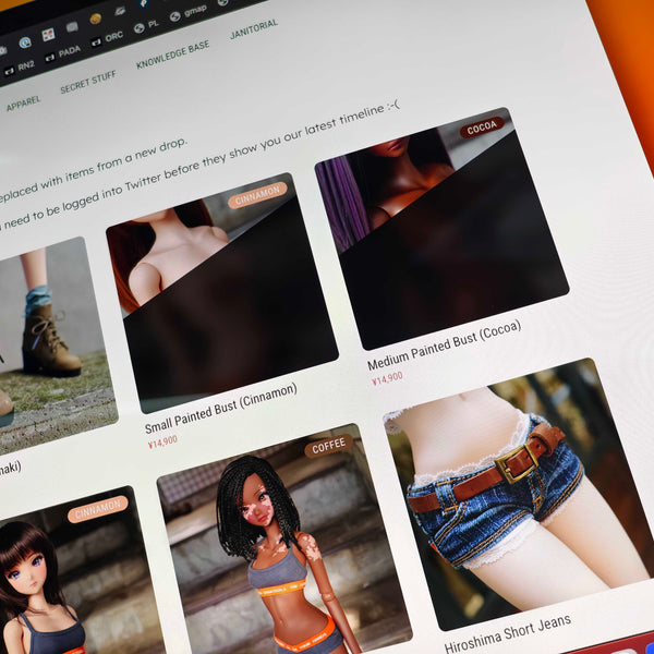 Privacy Overlay - How It Works