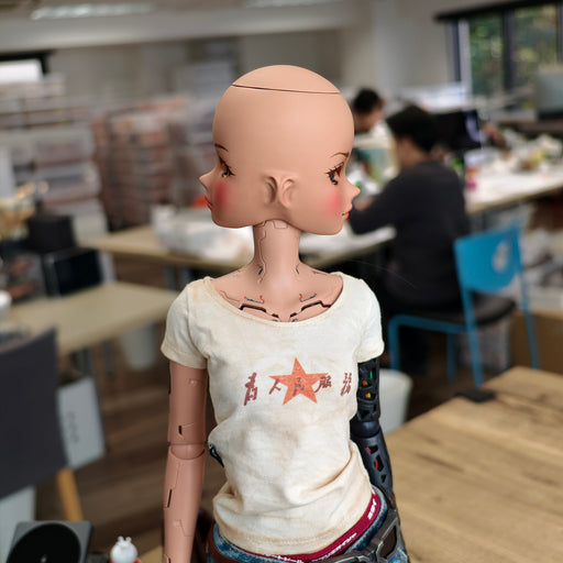 Smart Doll - Two Face