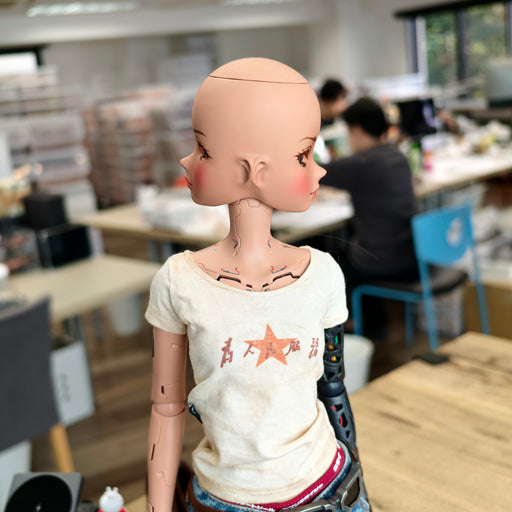 Smart Doll - Two Face