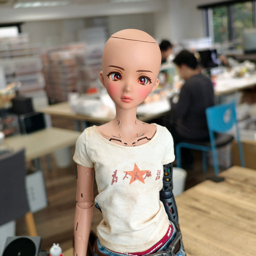 Smart Doll - Two Face