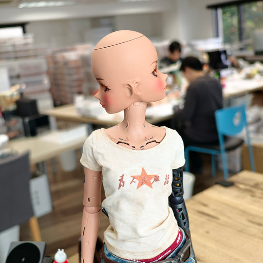 Smart Doll - Two Face
