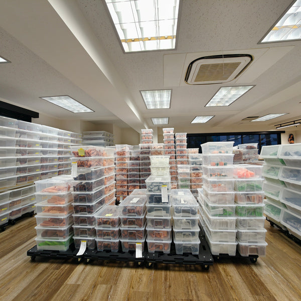 An Update on Porcelain White and Milk