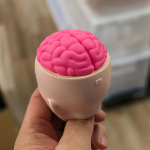 Smart Doll Brain (Pink)