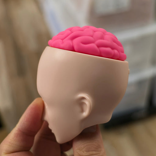 Smart Doll Brain (Pink)