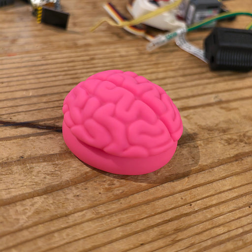 Smart Doll Brain (Pink)