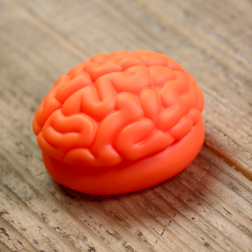 Smart Doll Brain (Orange)