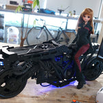thumbnail-624387c86bfd25c3f3ddc3a2c4fd4f57.jpg