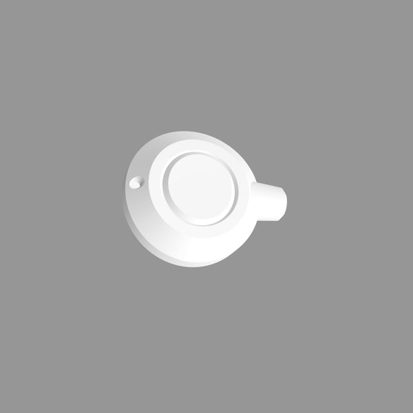 Cochlear Implant