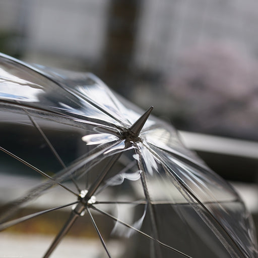 Transparent Vinyl Umbrella