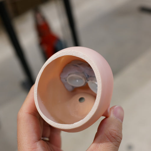 Karole Candidate Prototype
