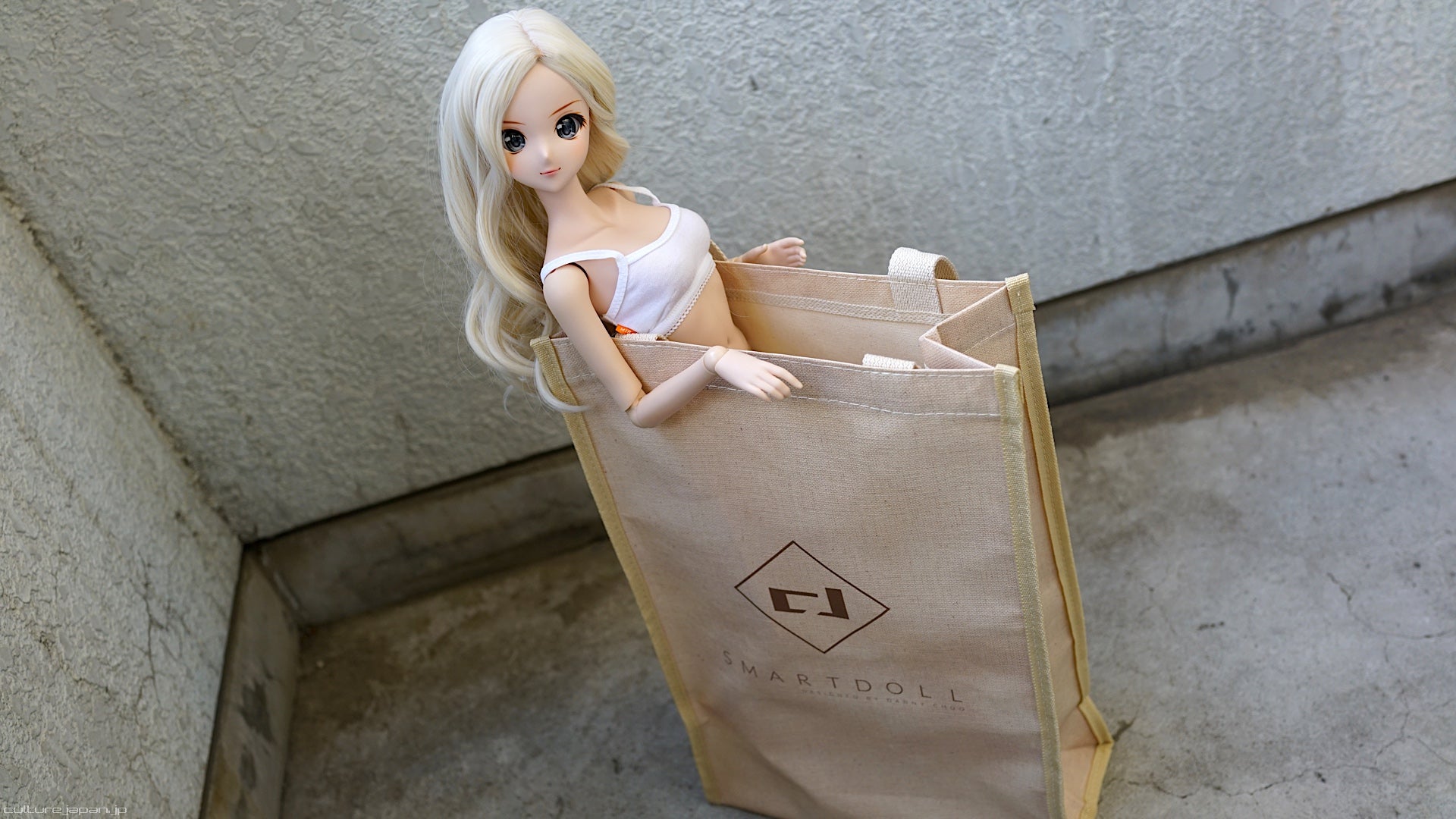 Smart Doll Canvas Bag
