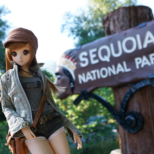Sequoia Jacket