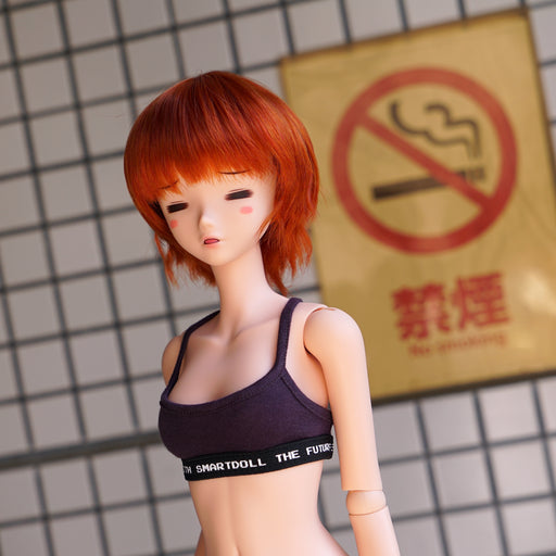 Semi-anime Candidate V1 (Cinnamon) (Vinyl body)