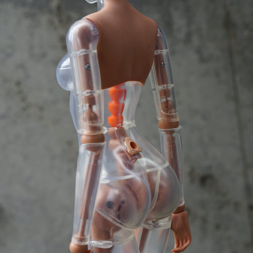 Hybrid Crystal Cortex Body