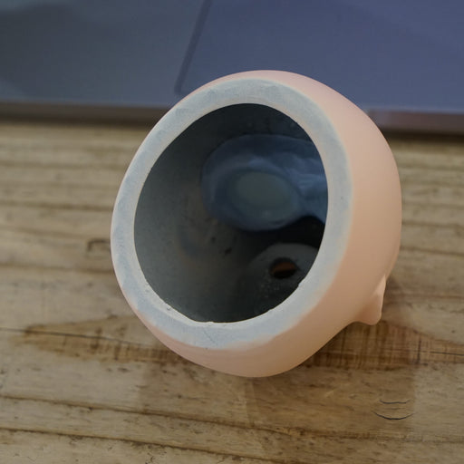 Elly Candidate Prototype