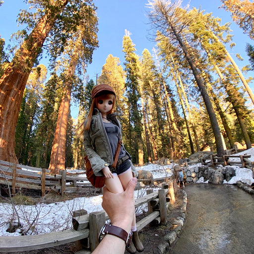 Sequoia Jacket