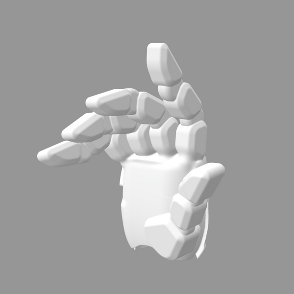Evolve Hand