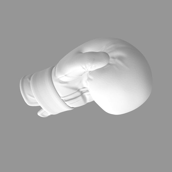 Boxing Glove
